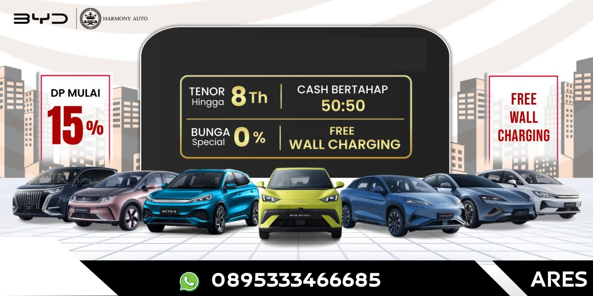 Promo BYD